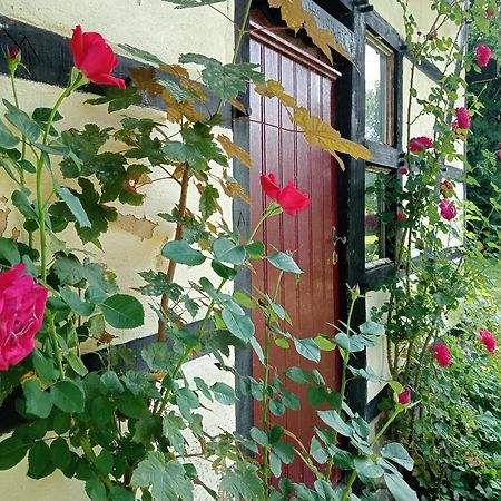 Bnb Het Geluk Van Limburg Mechelen Exterior foto