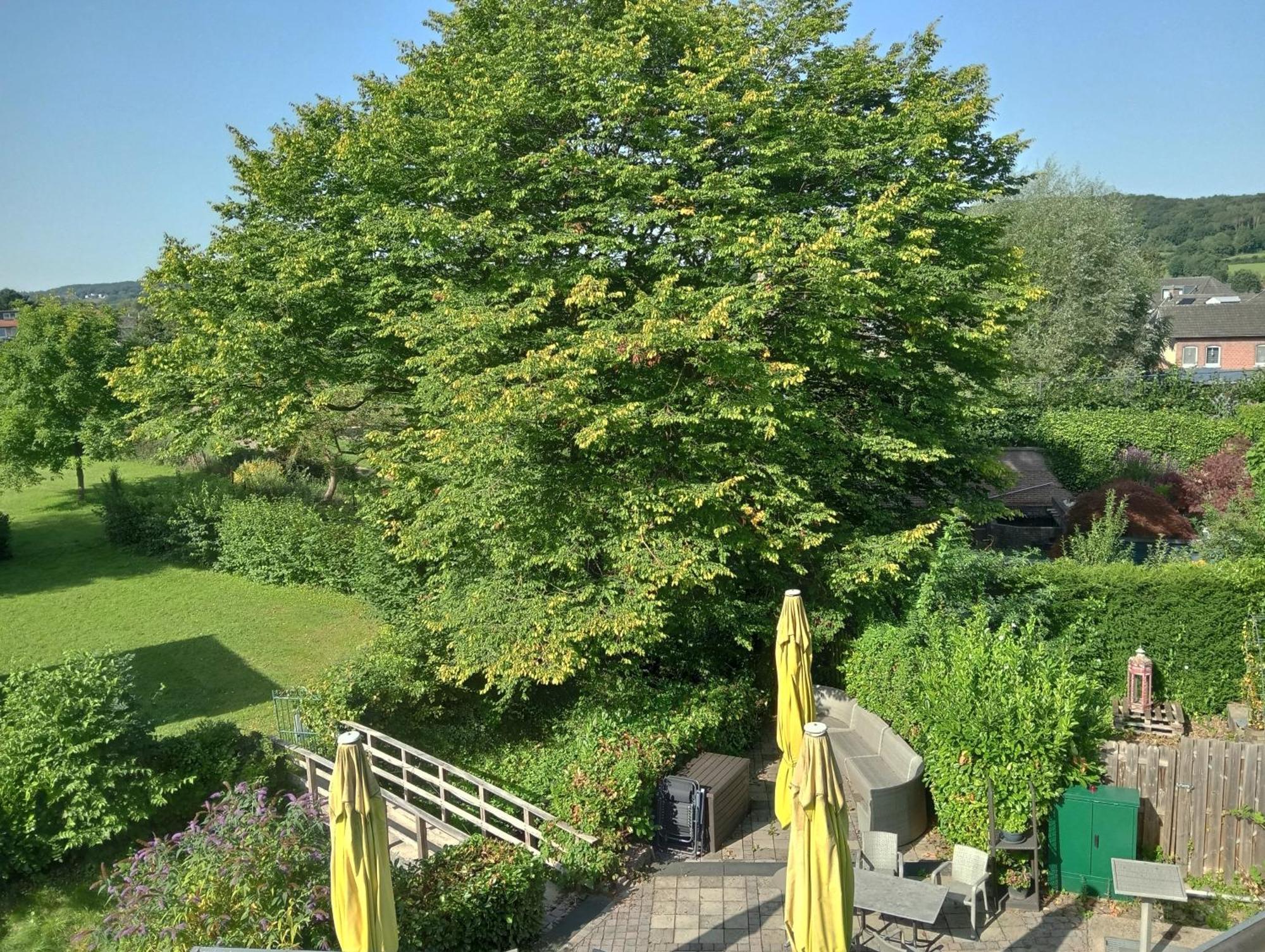 Bnb Het Geluk Van Limburg Mechelen Quarto foto